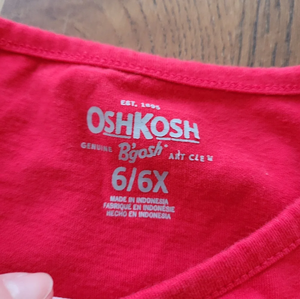 OshKosh B'Gosh Snowflake Top